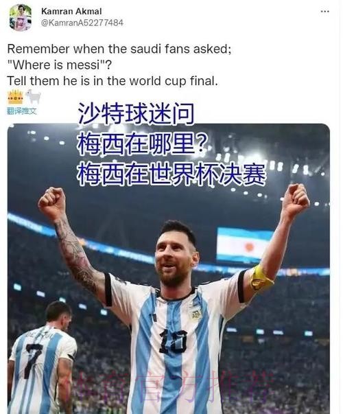 全面解读世界杯历史数据背后的故事