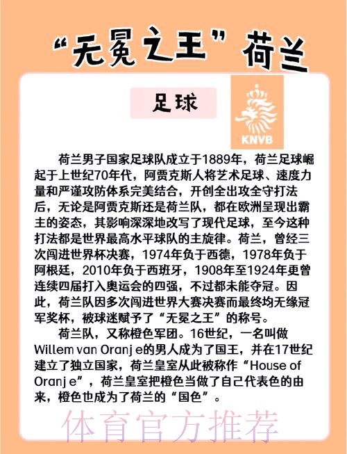 深入解析世界杯球队综合实力与表现分析